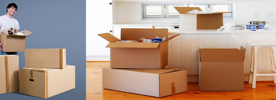 Packers-and-Movers-